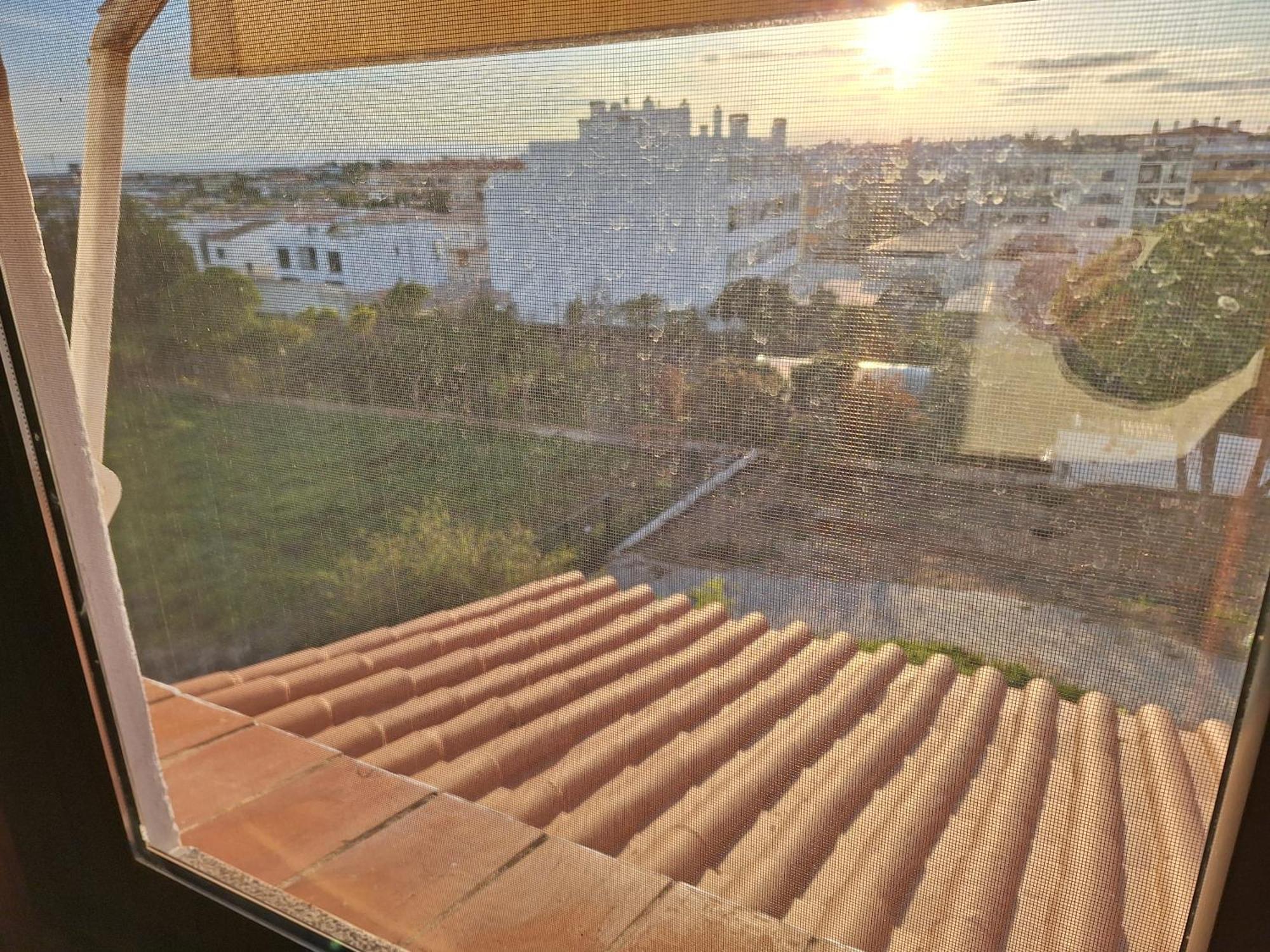 Monteverde ファロ エクステリア 写真
